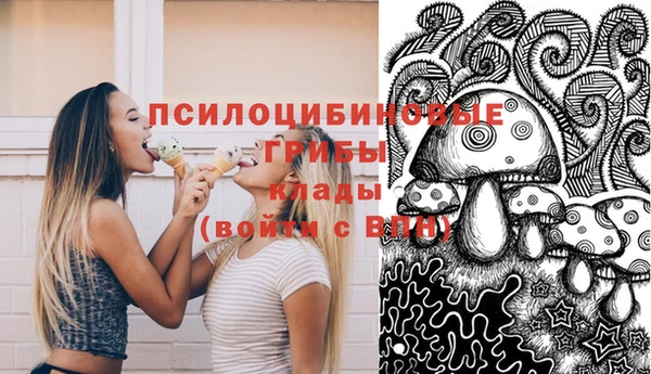 МДПВ Абинск