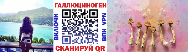 Галлюциногенные грибы мухоморы  Устюжна 